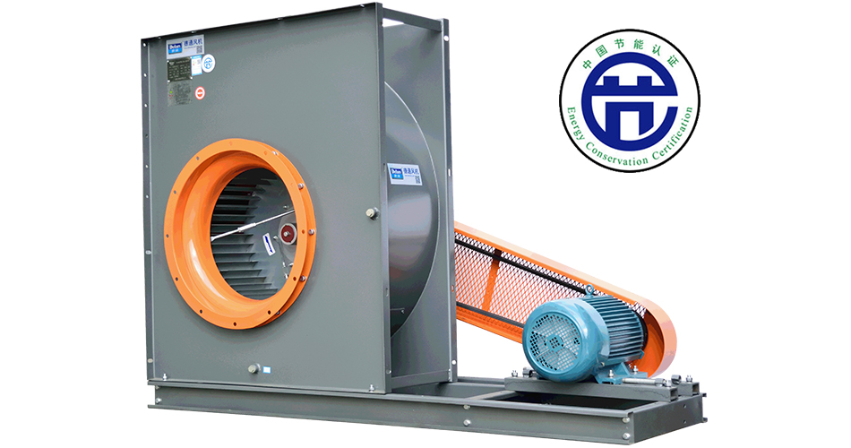 �N�����͟��C